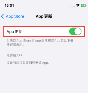 岳阳苹果15维修中心如何让iPhone15APP自动更新