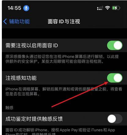 岳阳苹果14维修网点分享iPhone14注视感知功能有什么用 