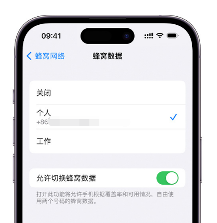 岳阳苹果维修服务分享如何在iPhone上使用双卡 